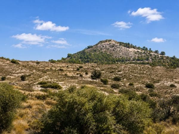 Terreno en Moralet photo 4