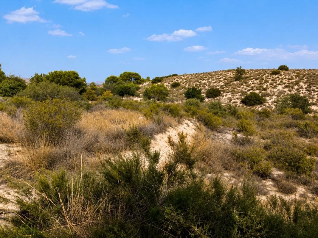 Terreno en venta en Moralet, Alicante photo 4