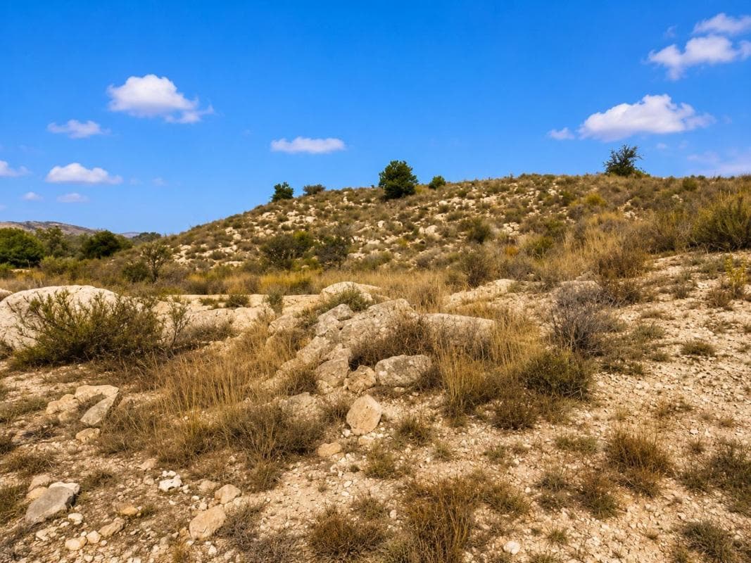 Terreno en venta en Moralet, Alicante photo 5