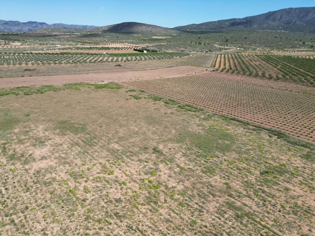 Terreno en venta en Pinoso, Alicante photo 5