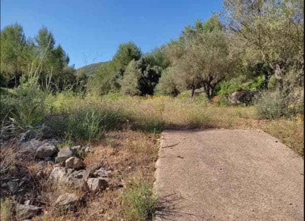 Terreno en Calle Ludwing Van Beethoven, 4, Orba photo 1