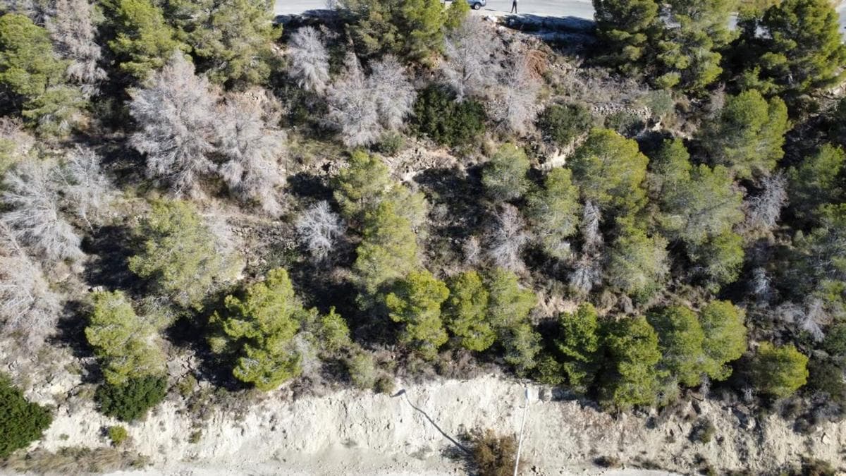 Terreno en venta en Calpe, Alicante photo 5