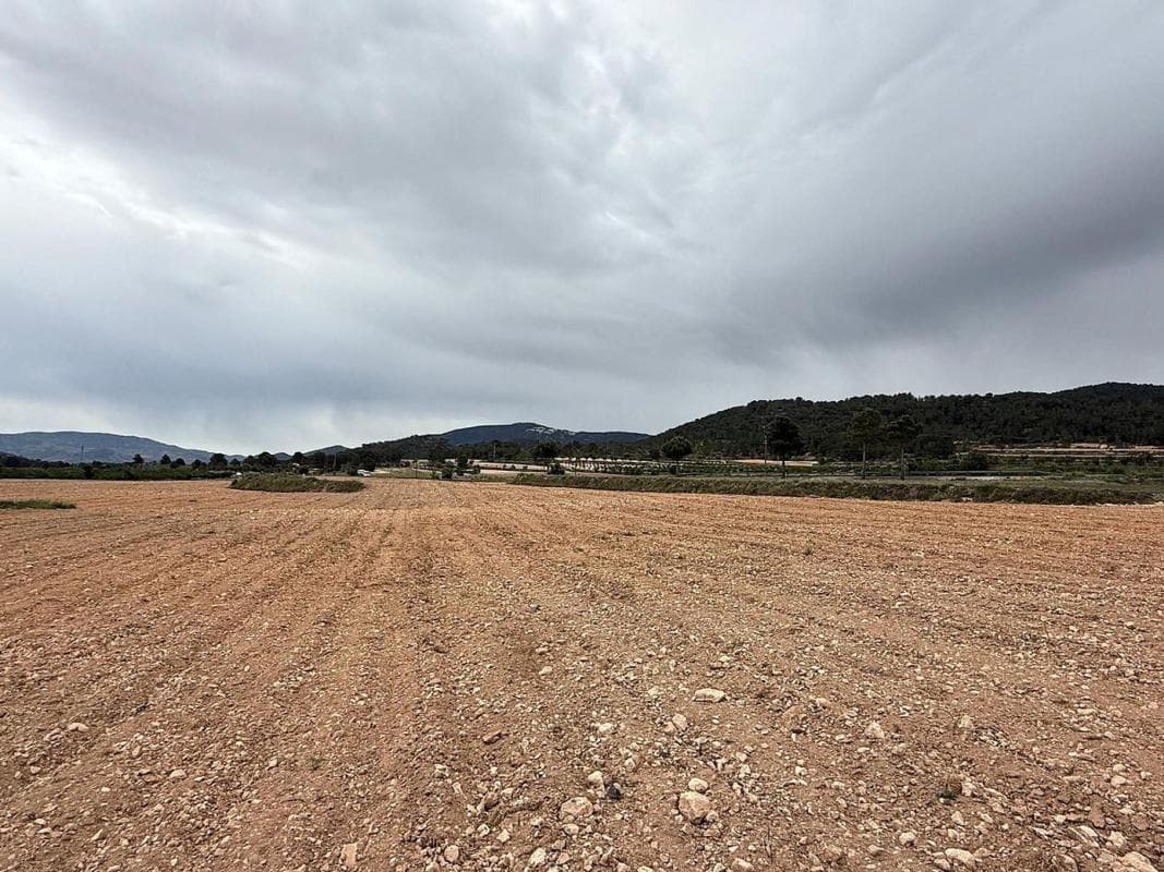 Terreno en venta en Pinoso, Alicante photo 4