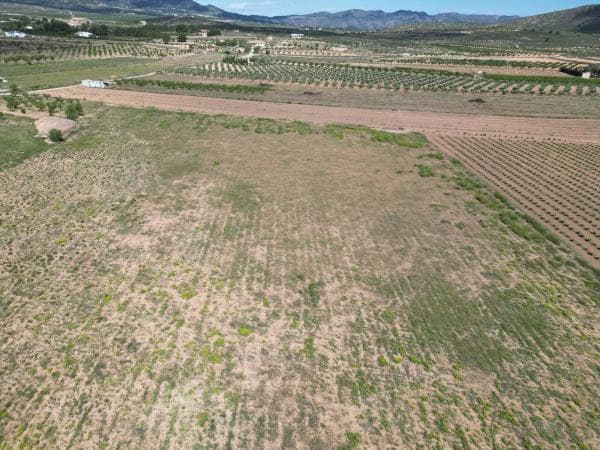 Terreno en Cxw3+7q5 Lel s/n, Pinoso photo 1
