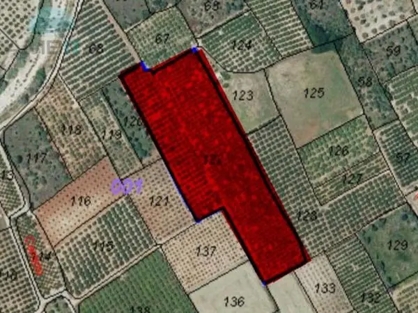 Terreno en Camino dels Plans, 122, Orba photo 1
