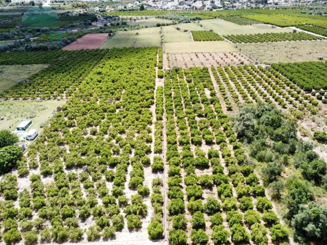 Terreno en venta en Orba, Alicante photo 3