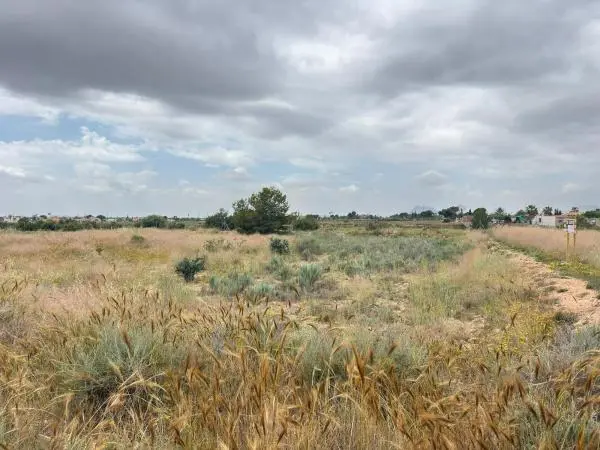 Terreno en Villamontes-Boqueres, San Vicente del Raspeig photo 1