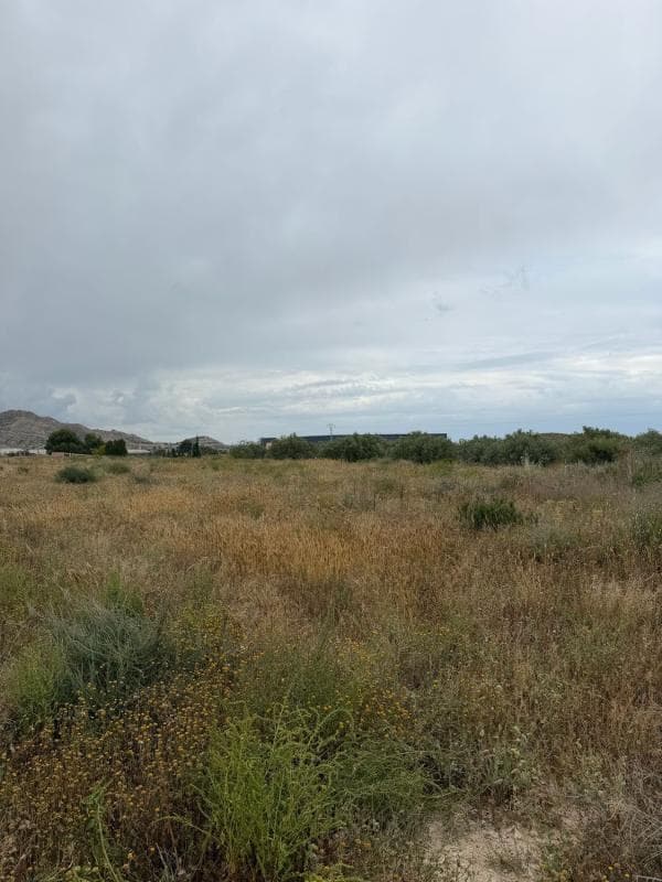 Terreno en venta en Alicante / Alacant, Alicante photo 2
