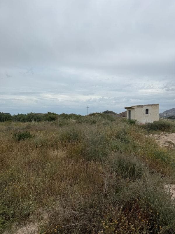 Terreno en venta en Alicante / Alacant, Alicante photo 3