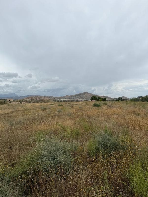 Terreno en venta en Alicante / Alacant, Alicante photo 4