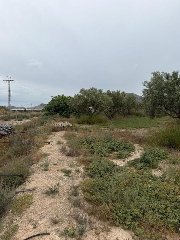 Terreno en venta en Alicante / Alacant, Alicante photo 5
