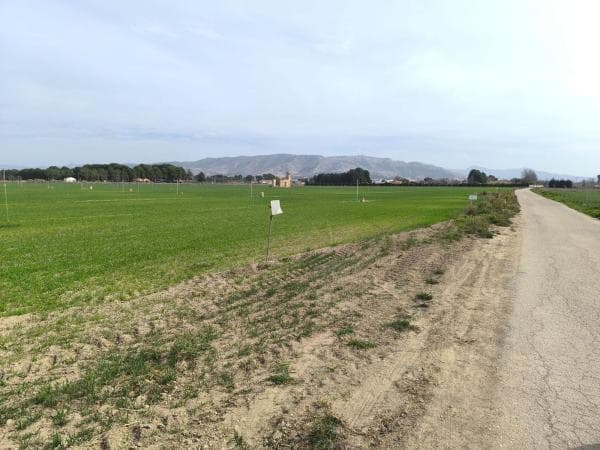Terreno en El Rabal, Villena photo 1