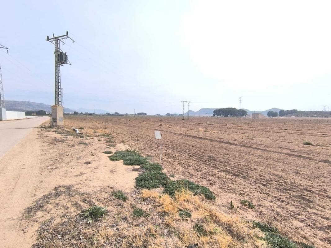 Terreno en venta en Villena, Alicante photo 2