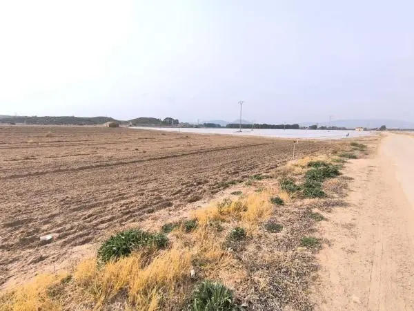 Terreno en El Rabal, Villena thumbnail 2