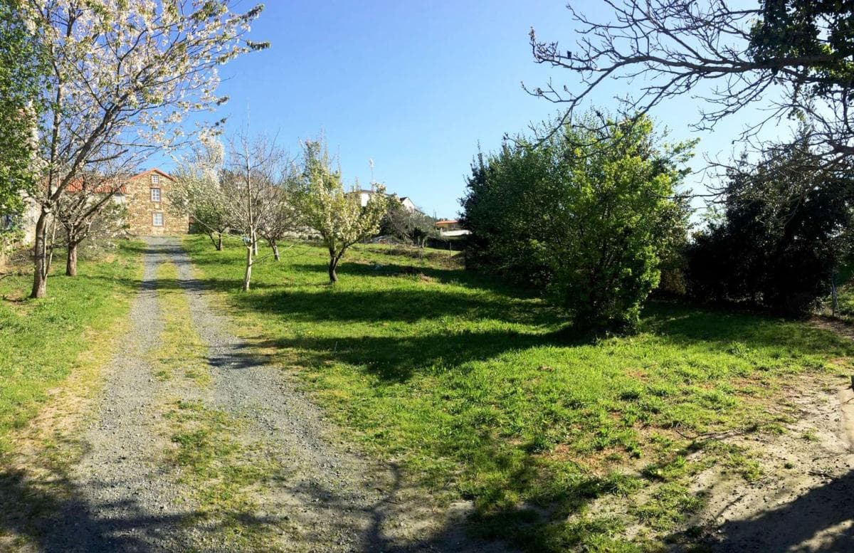 Propiedades en venta y alquiler en España photo 3