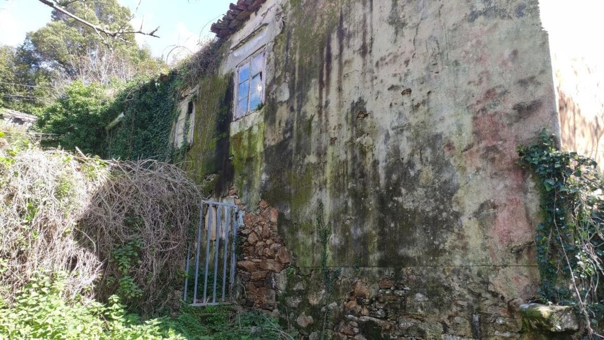 Propiedades en venta y alquiler en España photo 4