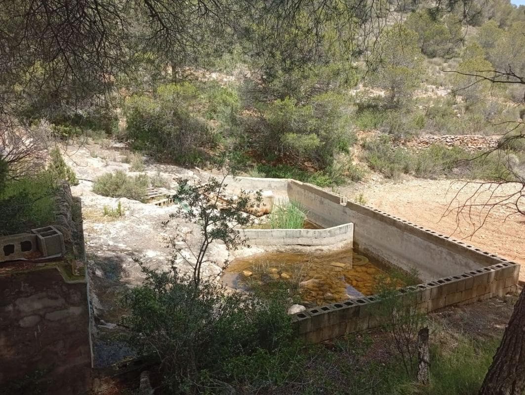 Sale of independent chalet in Casa o chalet en Calle Maestro Serrano, Salinas, Salinas
photo 5