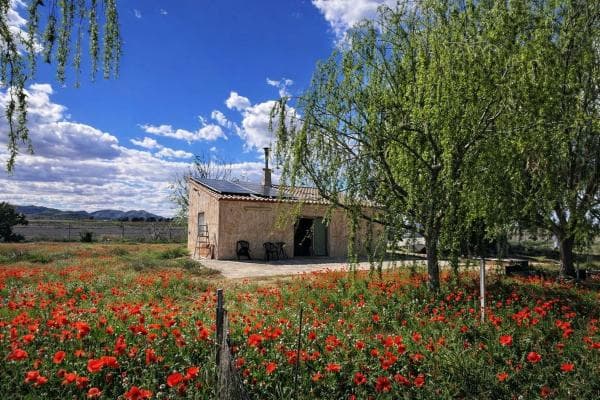 Finca rústica en venta en Finca rústica en Camino De San Juan, 156, Las Virtudes, Villena , Villena photo 1