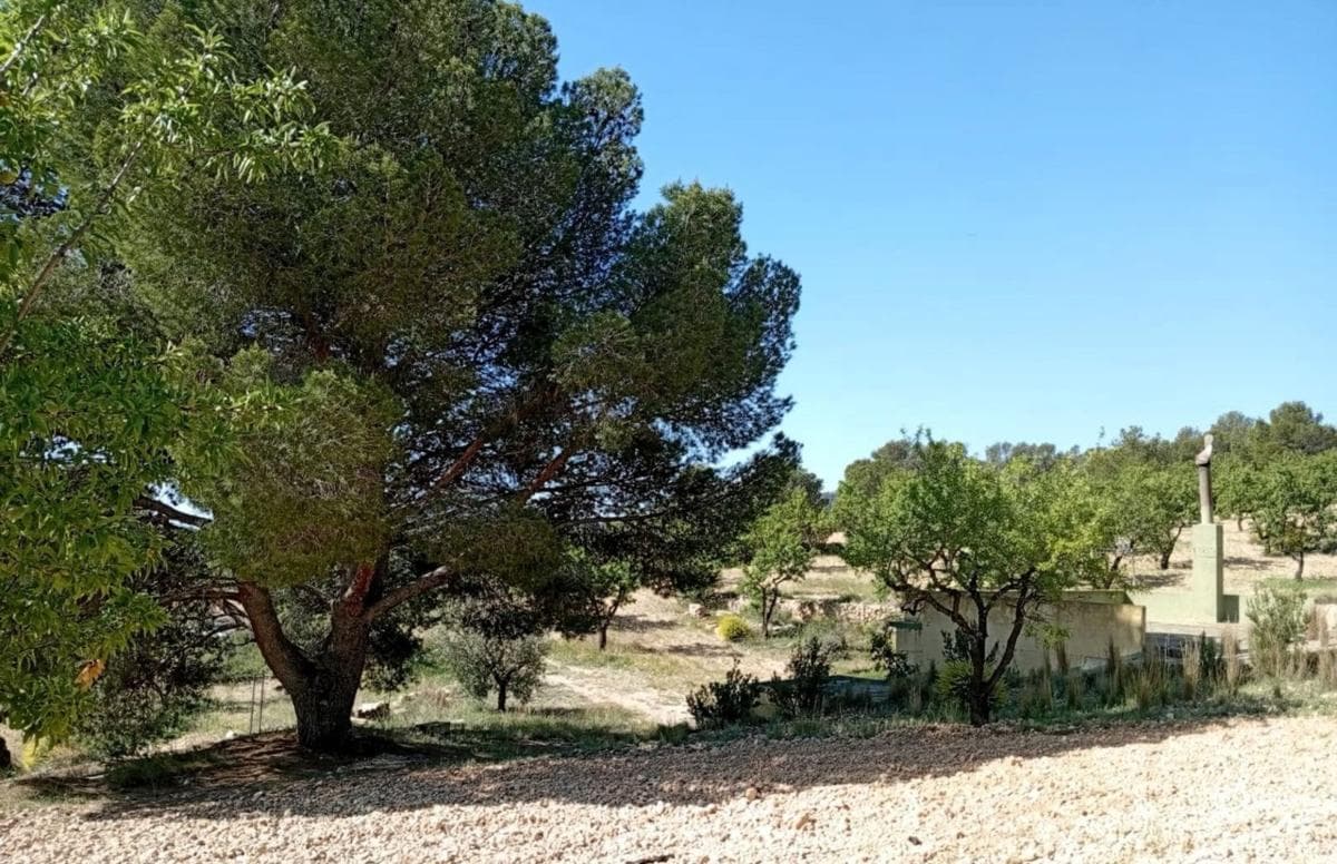 Sale of independent chalet in Casa o chalet en Calle Maestro Serrano, Salinas, Salinas
photo 2