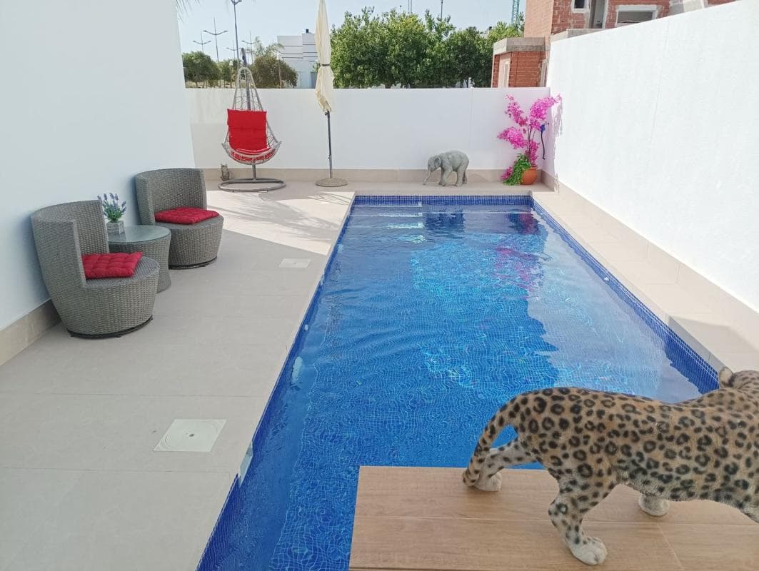 Propiedades en venta y alquiler en España photo 3