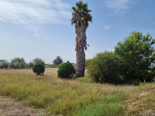 Casa o chalet independiente en Calle Elche, Dolores thumbnail 2