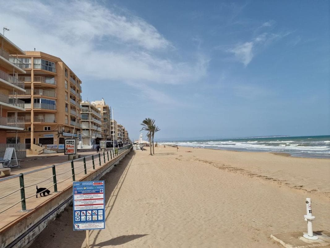 Sale of apartment in Piso en Calle Jorge Juan, 5, Guardamar Playa, Guardamar del Segura, Guardamar del Segura
photo 2