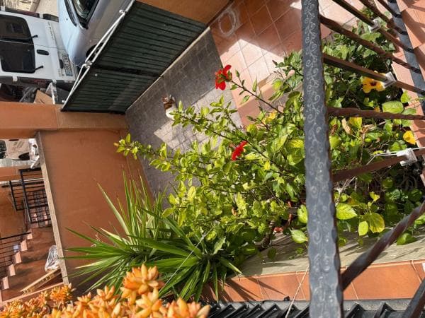Chalet adosado en Calle Goya, Montepinar-La Aparecida-Raiguero, Orihuela thumbnail 2