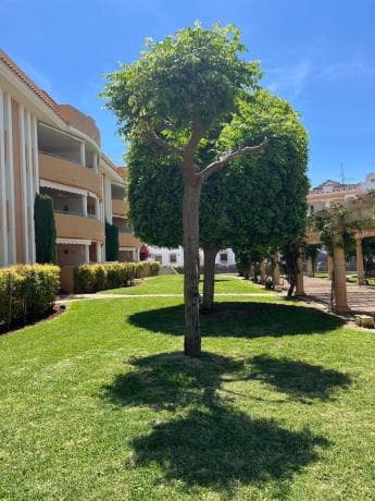 Venta de piso en Piso en Les Bovetes-La Felicidad, Denia, Denia
thumbnail 1
