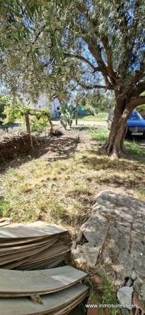 Finca rústica en venta en Finca rústica en Orihuela Ciudad, Orihuela , Orihuela thumbnail 1