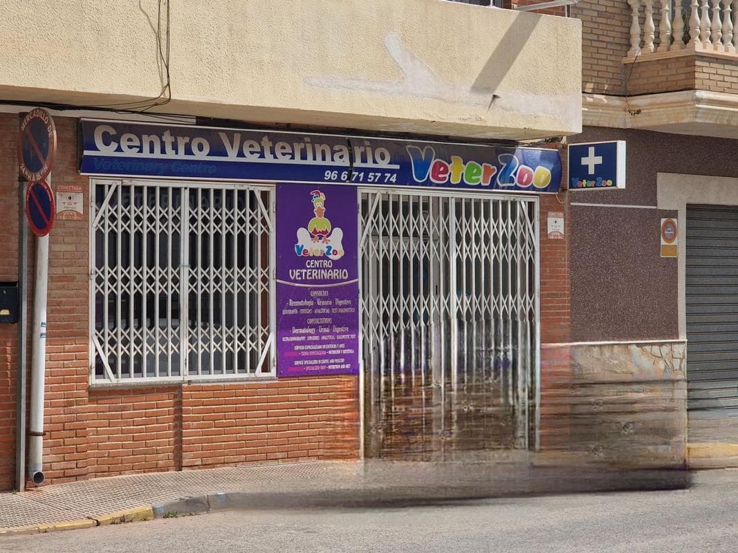 Properties for sale and rent in Spain photo 2