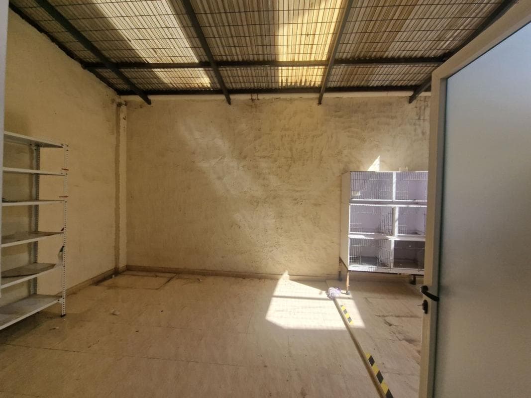 Properties for sale and rent in Spain photo 5