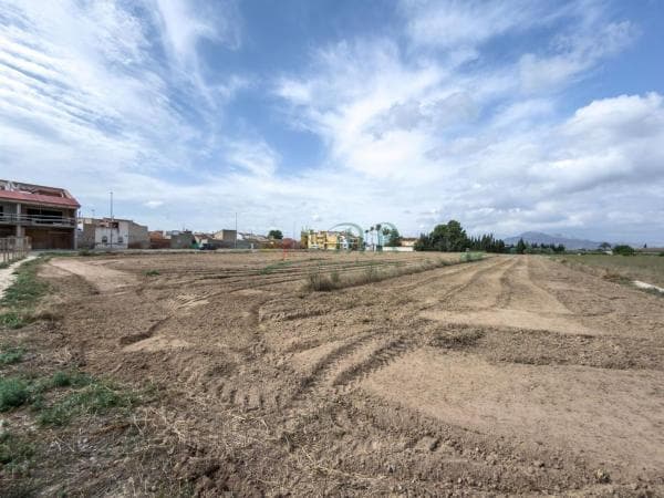 Terreno en Catral photo 4