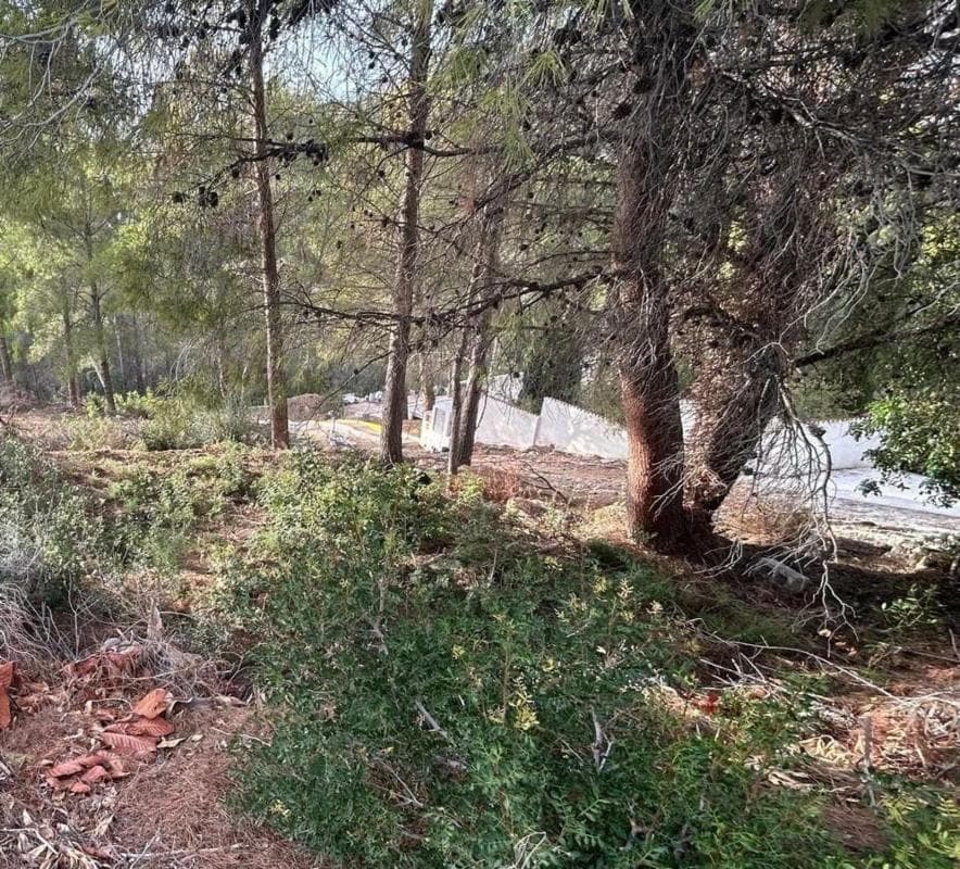 Land for sale in Altea, Alicante photo 2