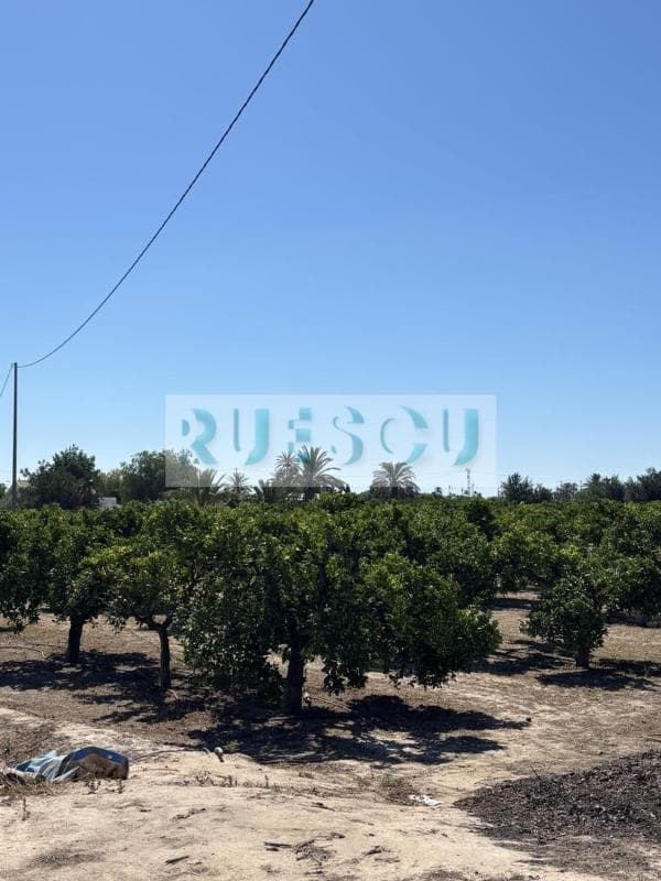 Land for sale in Elche / Elx, Alicante photo 3