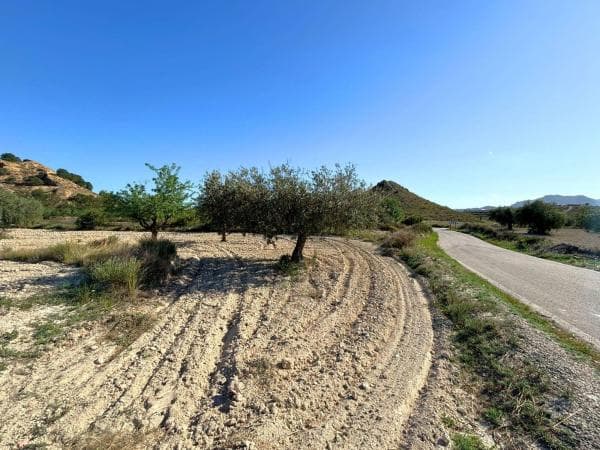 Terreno en Moralet photo 1