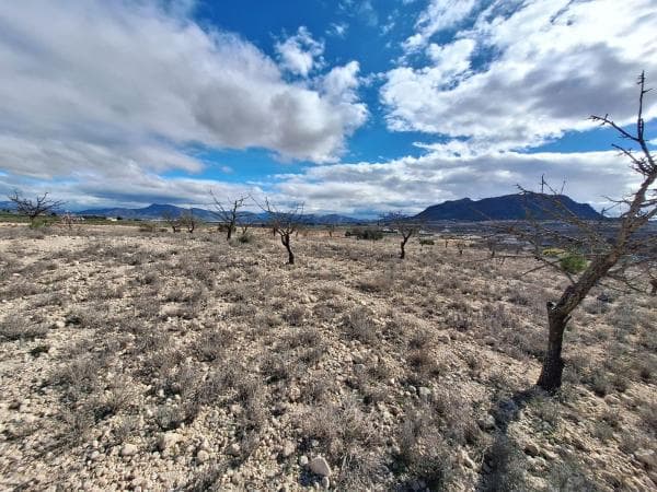 Terreno en Paraje Camara, Salinas thumbnail 2