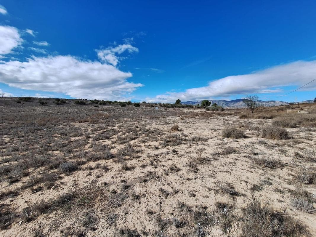 Terreno en venta en Salinas, Alicante photo 4