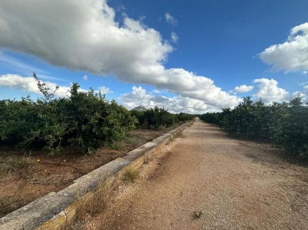 Terreno en Ondara photo 1