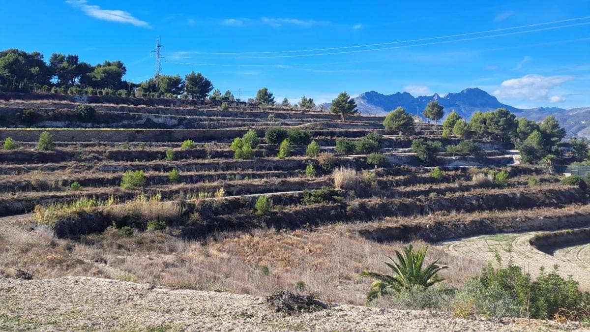 Land for sale in Benissa, Alicante photo 3