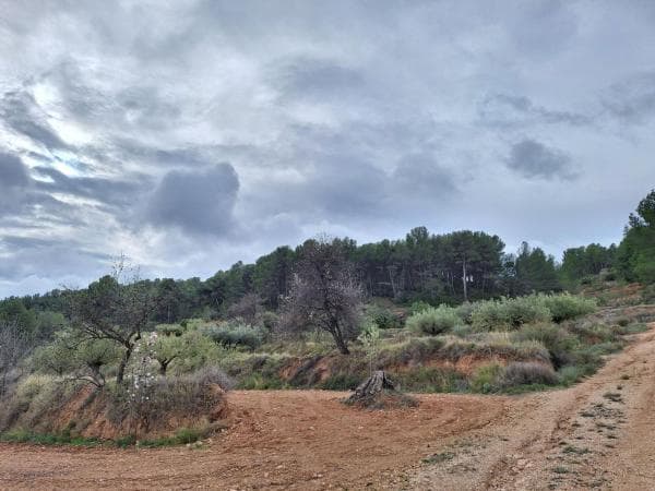Terreno en Castalla thumbnail 1