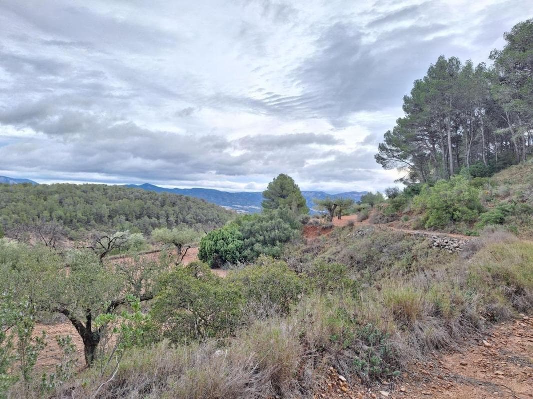 Terreno en venta en Castalla, Alicante photo 3