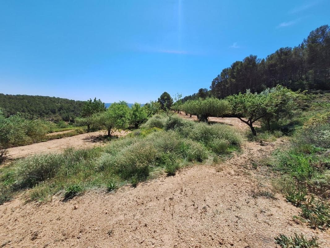 Terreno en venta en Castalla, Alicante photo 4
