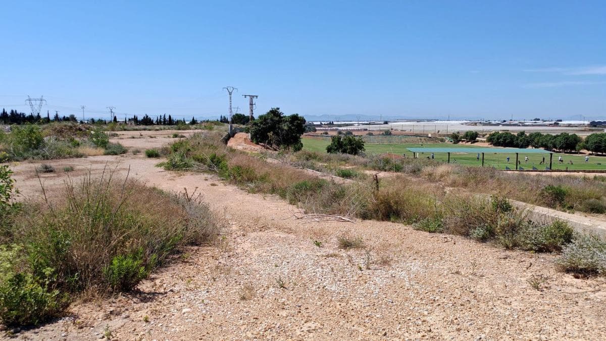 Terreno en venta en Pilar de la Horadada, Alicante photo 3