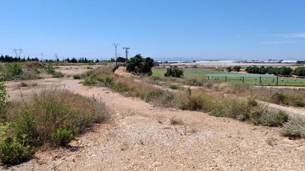 Terreno en Diseminado Poligono 8, Pinar de Campoverde, Pilar de la Horadada thumbnail 2