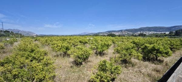 Terreno en Tormos photo 1
