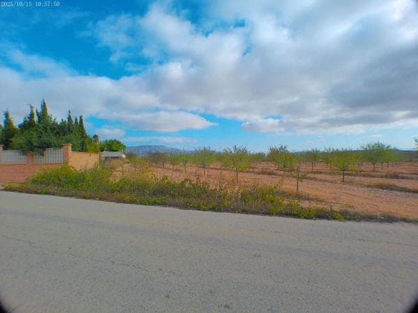 Terreno en Pinoso photo 4