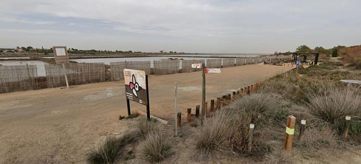 Terreno en venta en Elche / Elx, Alicante photo 5