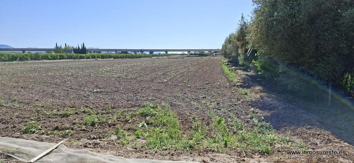 Terreno en venta en Orihuela, Alicante photo 3