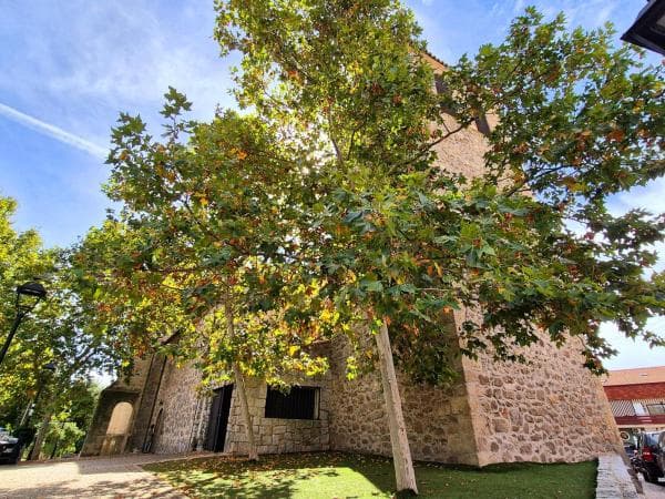 Studio for sale on Estudio en Torote, 2, Soto del Real, Soto del Real thumbnail 2