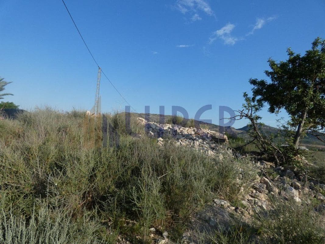 Land for sale in August, Alicante photo 2